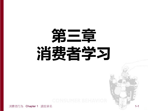 消费者行为ch消费者学习PPT课件