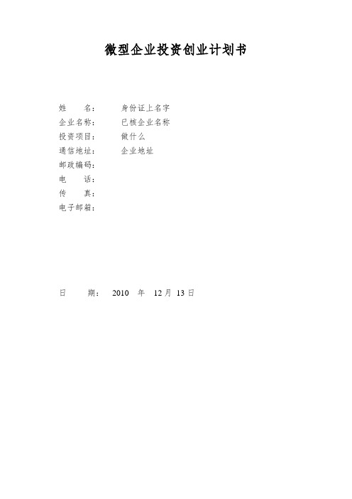 微型企业投资创业计划书