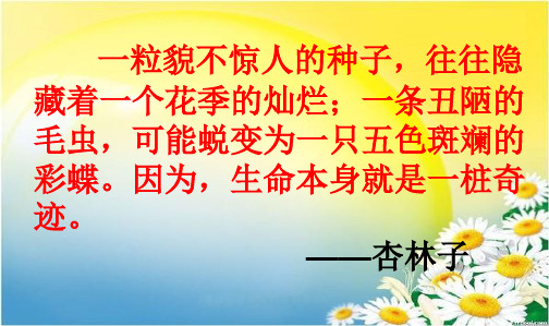 新课标人教版小学四年级语文下册19课生命生命ppt精品ppt课件