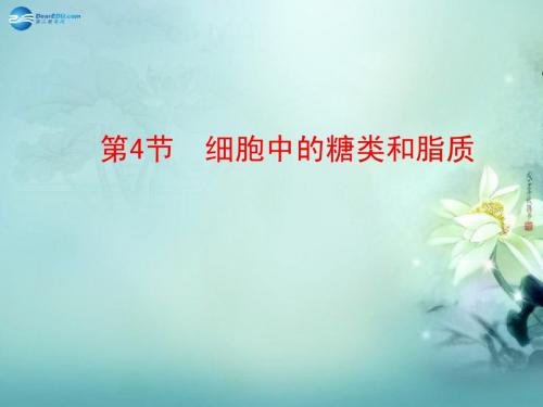 【世纪金榜】2014-2015学年高中生物 第2章 第4节 细胞中的糖类和脂质优质课件 新人教版必修1