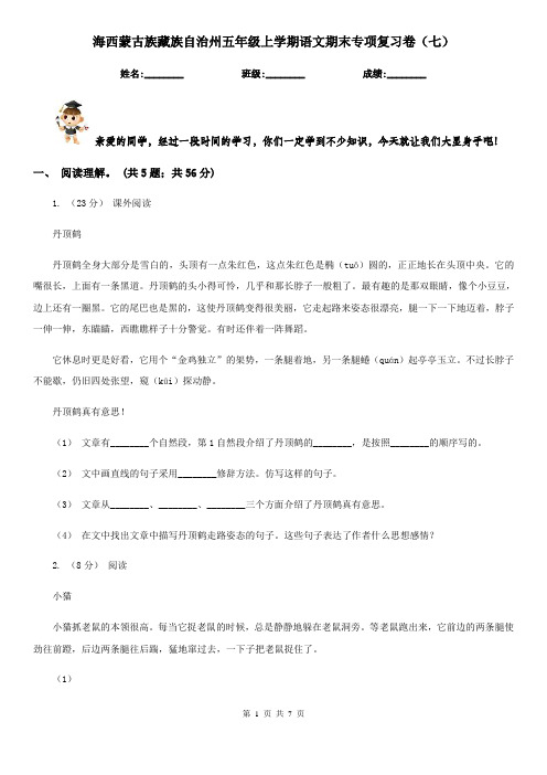 海西蒙古族藏族自治州五年级上学期语文期末专项复习卷(七)
