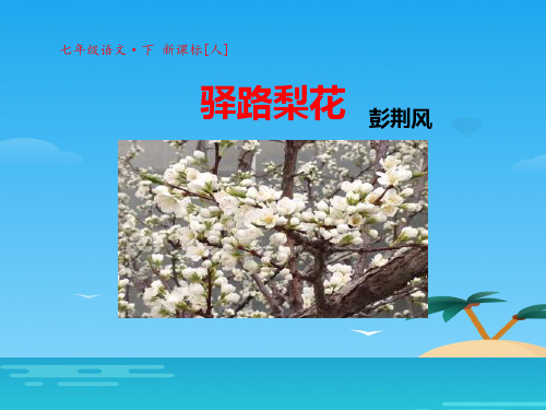 《驿路梨花》PPT课件[优秀课件资料]