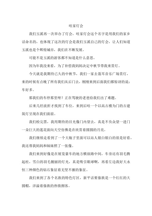 哇家灯会-作文