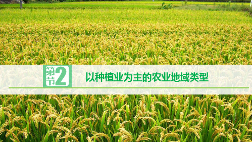 人教版高一地理必修二  以种植业为主的农业地域类型PPT-优质版