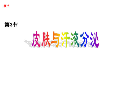 北师大版生物七年级下册11.3《皮肤与汗液分泌》 课件(24张PPT)