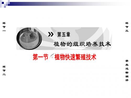 中图版选修一 第5章+第1节+植物快速繁殖技术 课件(34张)