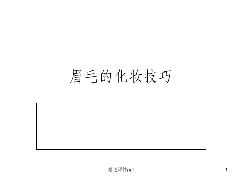 《眉毛的化妆技巧》PPT课件