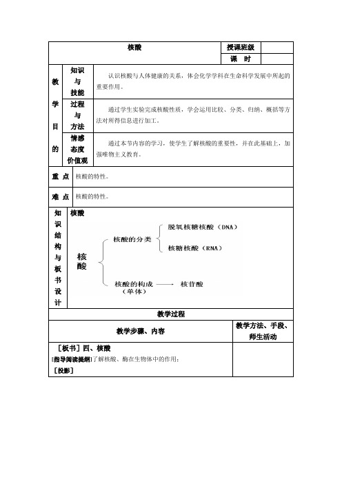 核酸 教案1 完整版 优秀公开课