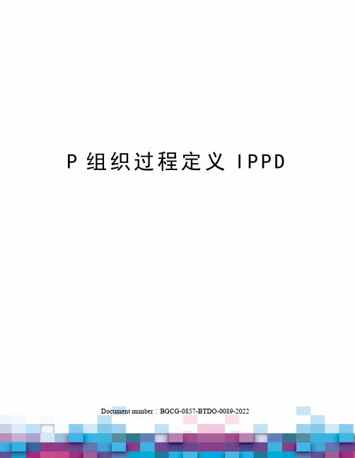 P组织过程定义IPPD