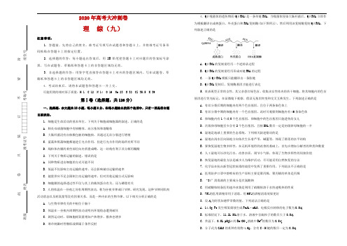 2020年高考考前大冲刺卷 物理理科综合(九)