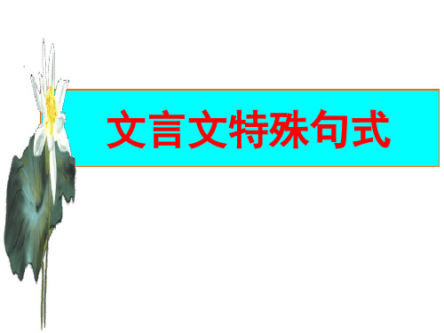 2023届高考语文复习：文言特殊句式+课件57张