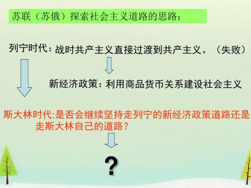 人民版高中历史必修二《七 苏联社会主义建设的经验与教训  二 斯大林模式的社会主义建设道路》公开课课件_9