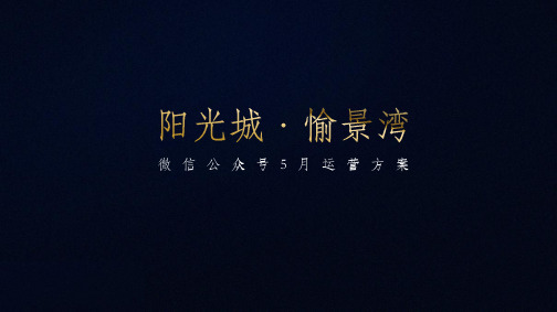 2018东莞阳光城·愉景湾微信运营方案