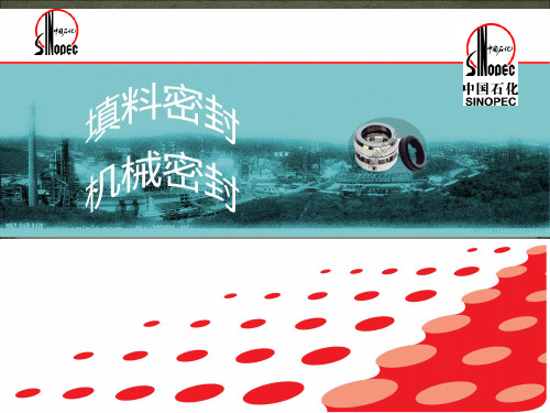 填料密封和机械密封讲义