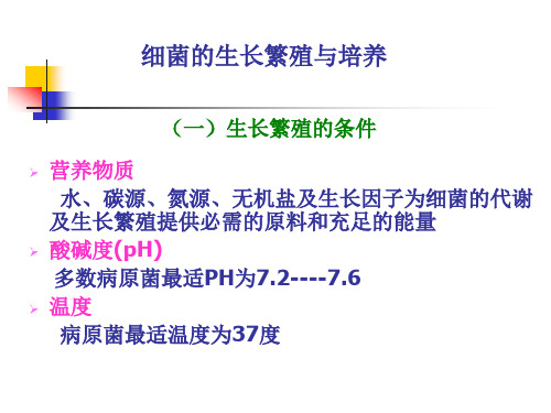 细菌的生长繁殖
