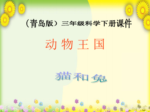(青岛版)小学科学三下《 猫和兔》PPT课件(同课异构) (1)