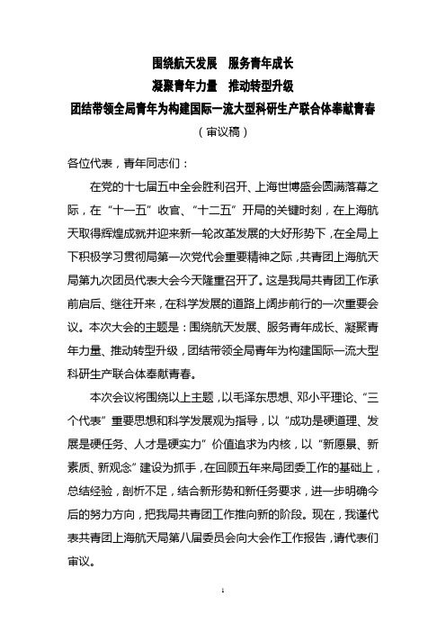 团员代表大会主报告