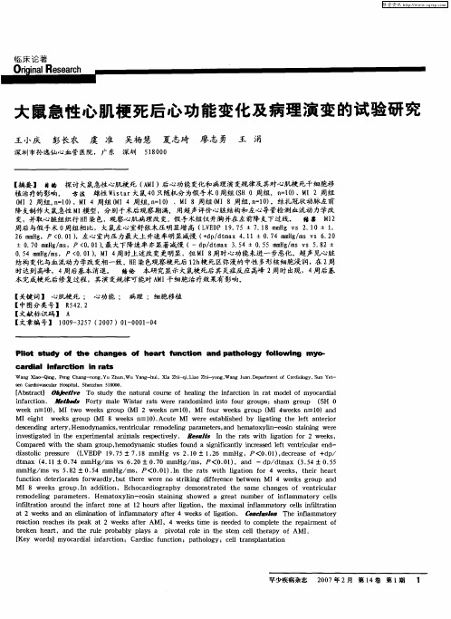 大鼠急性心肌梗死后心功能变化及病理演变的试验研究