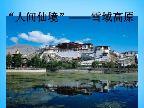 六年级语文上册《藏羚羊跪拜》课件