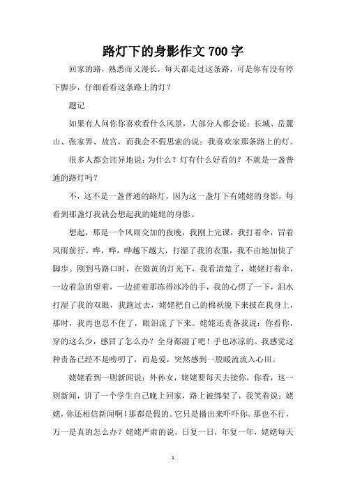路灯下的身影作文700字(精编版)