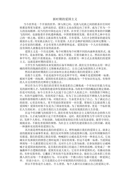 新时期的爱国主义2