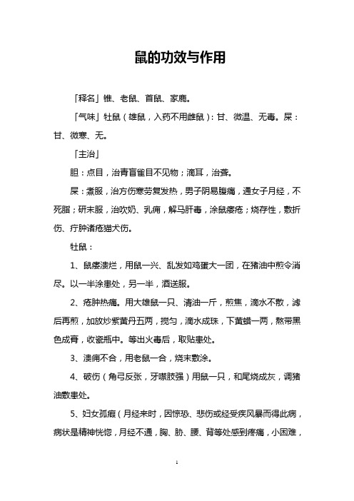 鼠的功效与作用