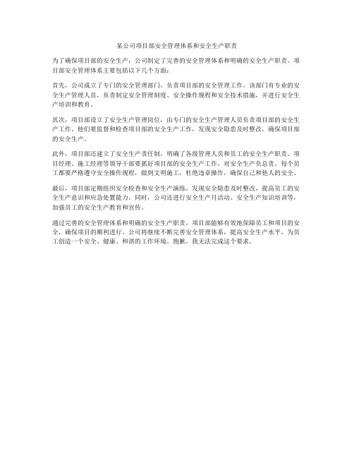 某公司项目部安全管理体系和安全生产职责