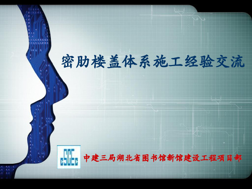 密肋楼板经验交流