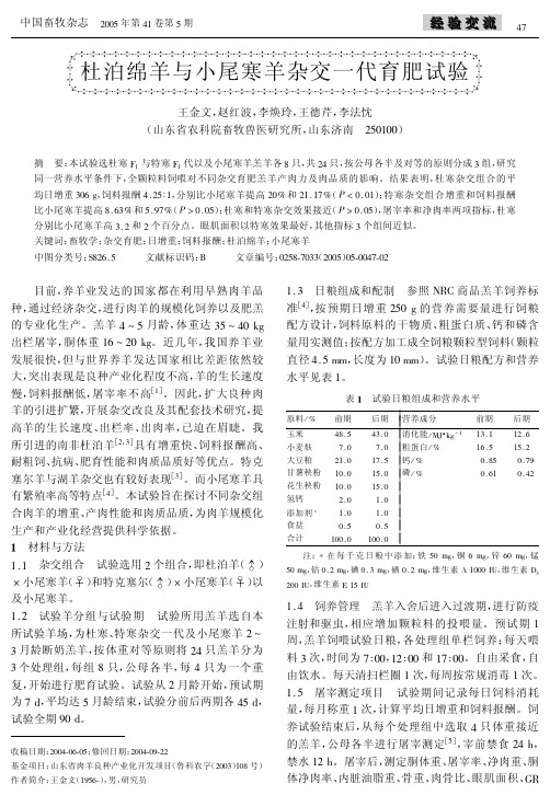 杜泊绵羊与小尾寒羊杂交一代育肥试验