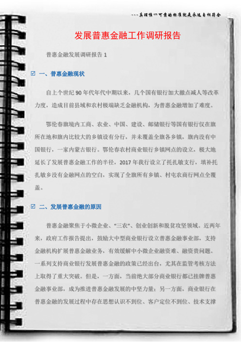 (调研报告)发展普惠金融工作调研报告