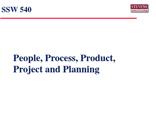 People, Process, Product, Project