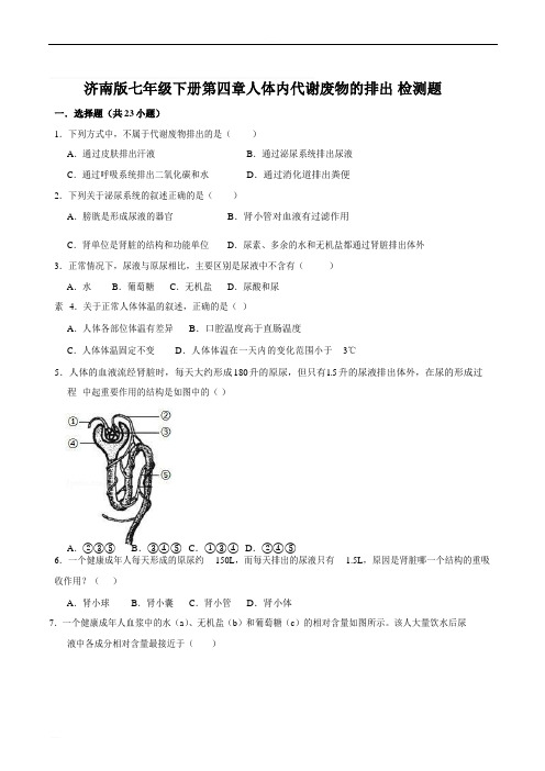 济南版七年级下册第四章人体内代谢废物的排出 检测题