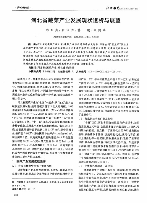河北省蔬菜产业发展现状透析与展望