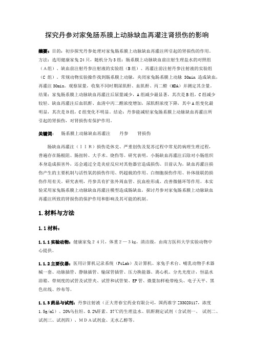 探究丹参对家兔肠系膜上动脉缺血再灌注肾损伤的影响