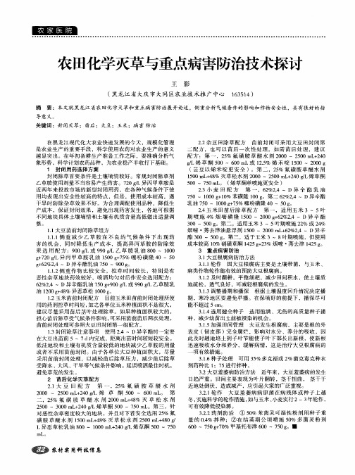 农田化学灭草与重点病害防治技术探讨