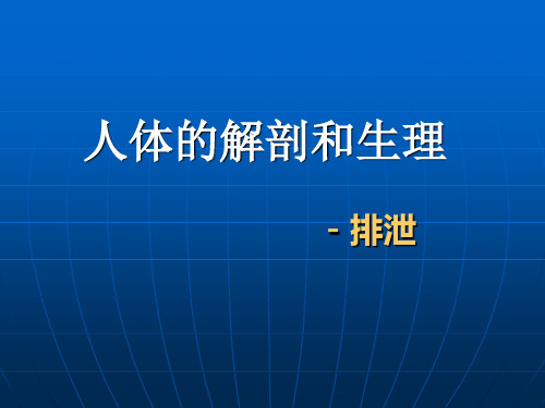 5人体生理-排泄.