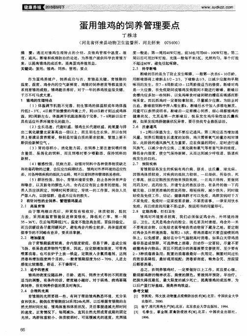 蛋用雏鸡的饲养管理要点
