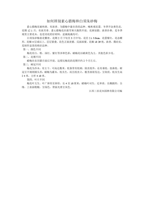 如何辨别素心腊梅和白须朱砂梅