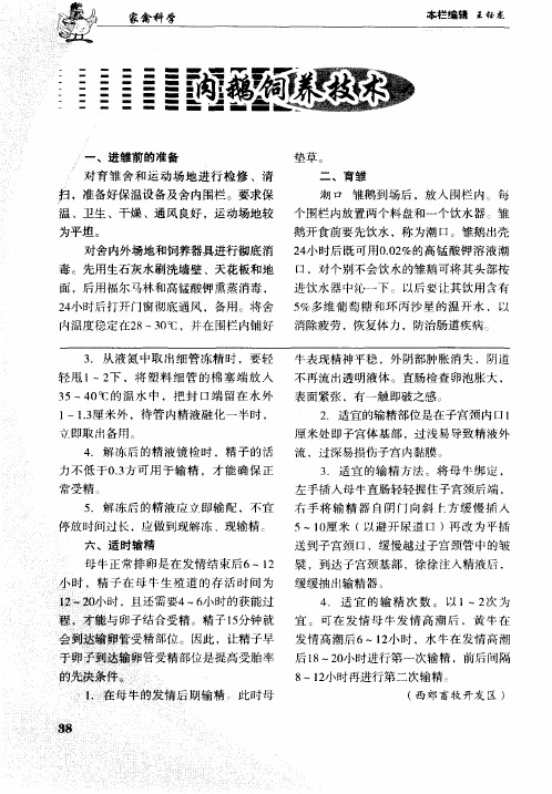 肉鹅饲养技术
