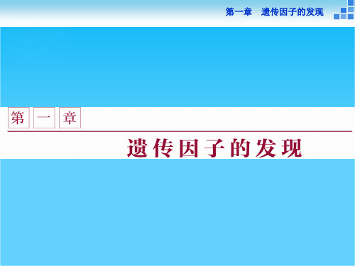 2016版优化方案高中生物人教版必修二课件 第一章 遗传因子的发现 第1节第1课时
