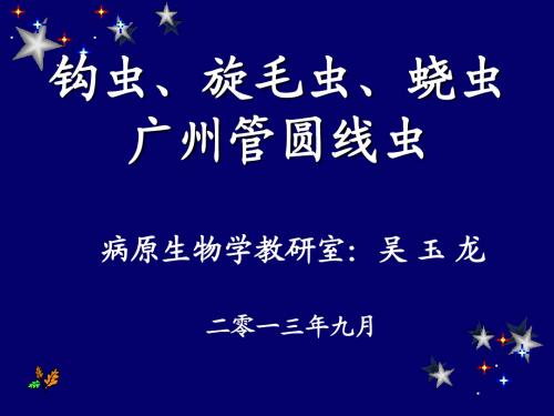 钩虫、旋毛虫、蛲虫