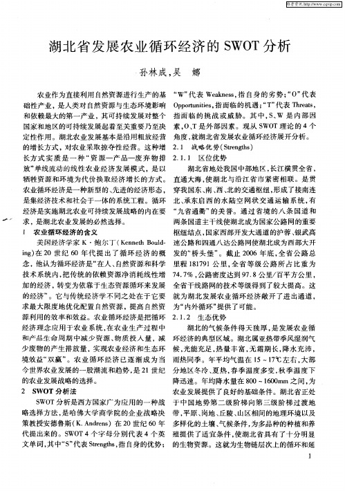 湖北省发展农业循环经济的SWOT分析