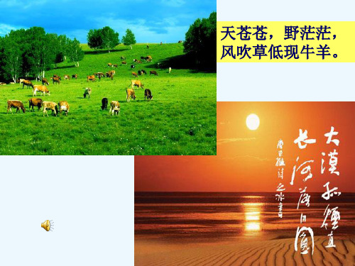 复习课西北地区和青藏地区