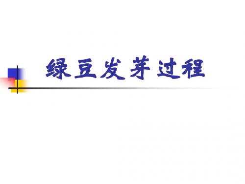 绿豆发芽过程