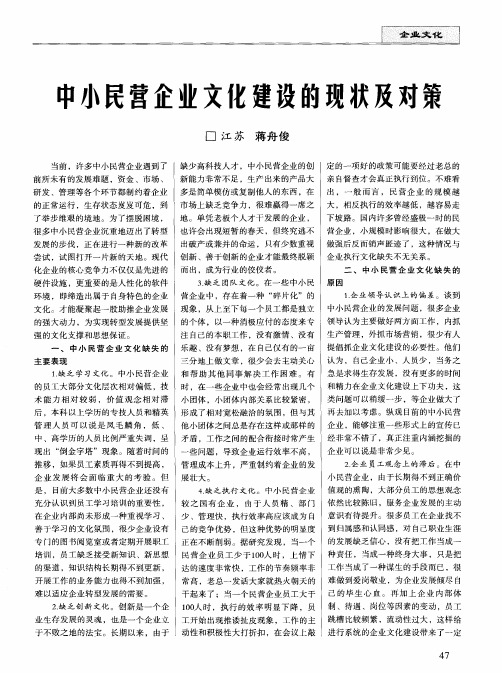 中小民营企业文化建设的现状及对策