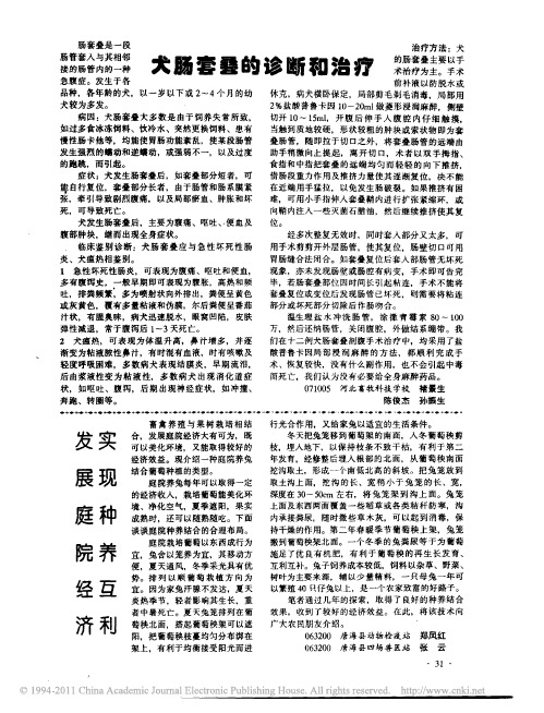 犬肠套叠的诊断和治疗