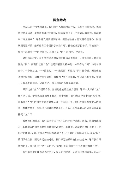 网鱼游戏_小学四年级作文800字