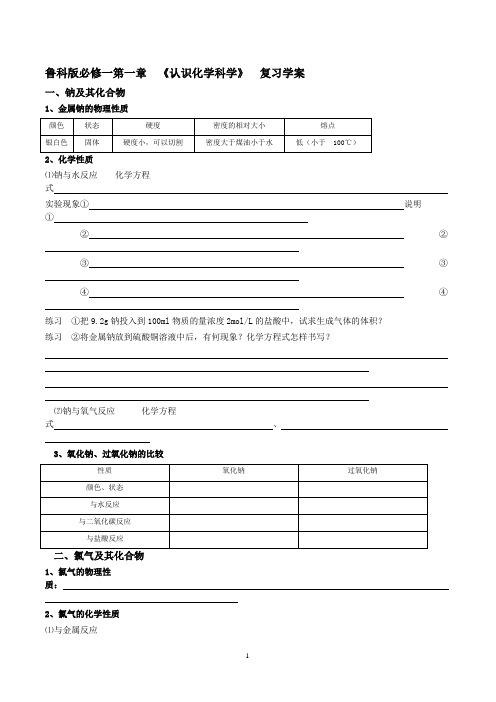 第一章 《认识化学科学》 复习学案