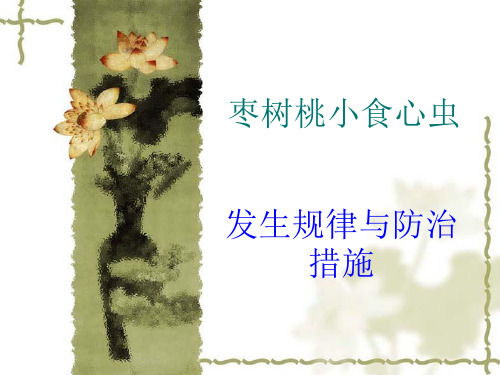 枣树桃小食心虫