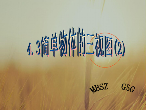 初三数学最新课件-简单物体的三视图浙教版 精品